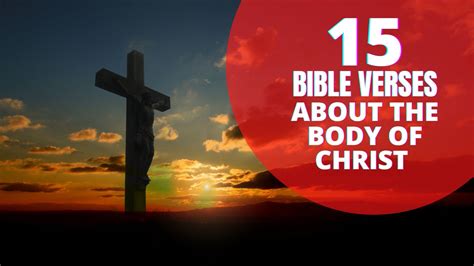 15 Important Bible Verses About Body Of Christ