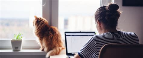 Vous êtes recruteur et offrez un emploi dans le secteur: Offres d'emploi : le télétravail gagne en popularité ...