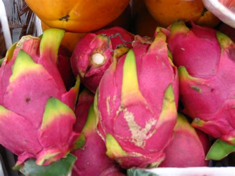 There are many exotic fruits in thailand and the variety is huge. Trunks Up!: Thailand's Exotic Fruits