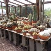 Since 2008 sunrise at river road as been providing outstanding assisted living and memory care services to tucson. Bach's Cactus Nursery - 145 Photos & 27 Reviews ...