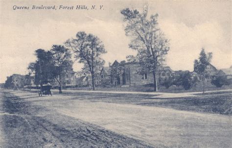 Rego Forest Preservation Council Forest Hills Before Time Discover