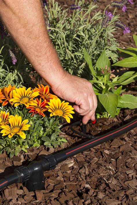 You wouldn't really say you that an event was so drip. Get Water-Wise with Sprinkler to Drip Conversions