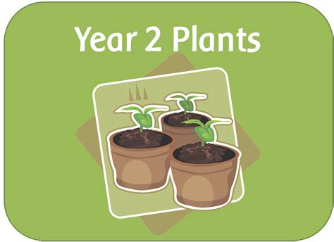 Living things and their environments. Year 2 Science - Plants topic - powerpoints, planning ...
