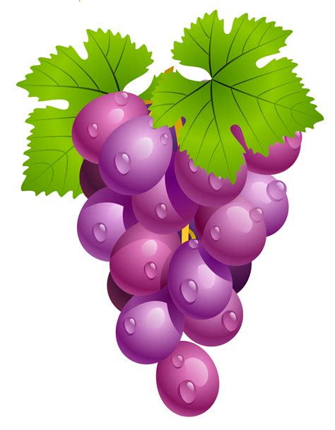 Grapes with Leaves PNG Clipart Picture | Clip art, Fruits drawing, Grapes