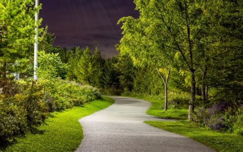Road Between Green Grass Bushes Plants Trees Lights During Nighttime 4k