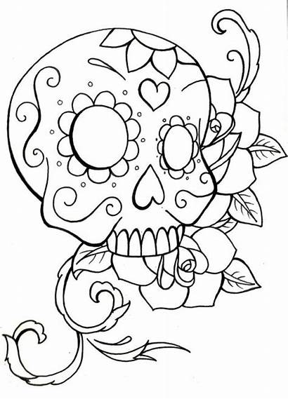 Skull Coloring Sugar Pages Roses Simple Drawing