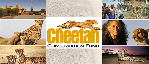 The Cheetah Conservation Fund Businesses In Namibia