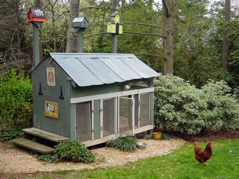 Even in an urban environment, predators can be a serious problem. Chicken Coops for Backyard Flocks | HGTV