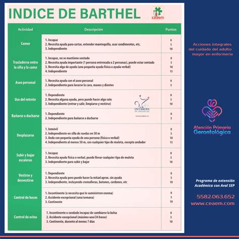 Escala De Ndice De Barthelpdf Pdf Fileescala De Barthel Atividade The