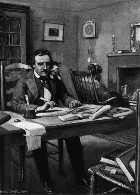 Cats In The 19th Century Part 14 Edgar Allan Poes Black
