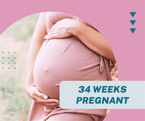 34 Weeks Pregnant The Ultimate Guide Mindtastik