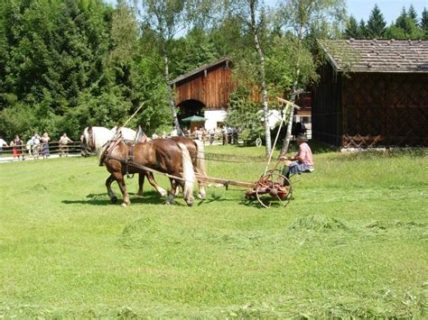 Jauche wird als düngung aufs gras aufgetragen damit das gras schneller wächst und wir wieder öfter und mehr häckseln können. Das Pferd in der Landwirtschaft