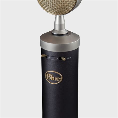 Blue Baby Bottle Sl Microphone Review Performer Mag