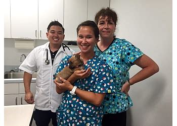 We provide veterinarian service and more in honolulu, hi. 3 Best Veterinary Clinics in Honolulu, HI - Expert ...