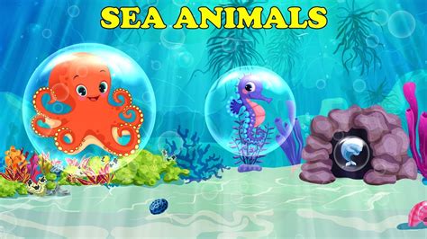 Sea Animals For Kids Youtube