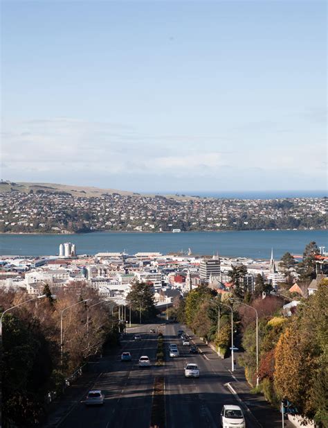 11 reasons to visit Dunedin if you're into architecture and art