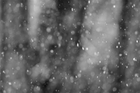 Snow Falling Abstract Black And White Photograph By Terry Deluco Pixels