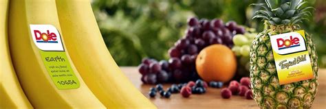 Total produce is coming together with dole food company to create the premier global leader in fresh produce. Dole Food Company Inc | Place-4-Papers.com