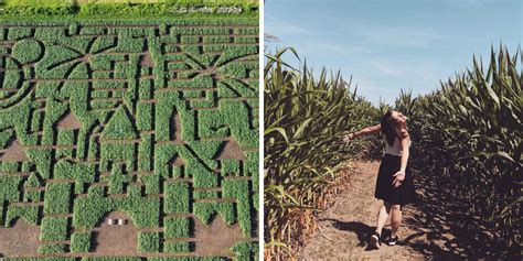 7 Giant Corn Mazes Near Montreal Where You Can Lose Yourself In The Magic Of Fall Mtl Blog