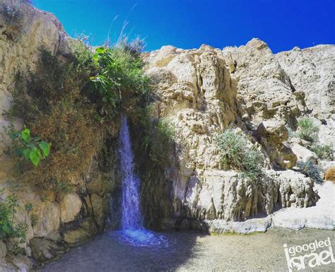 The state of israel's official twitter account managed by the @israelmfa's digital diplomacy team. Ein Gedi: one of Israel's amazing desert wonders