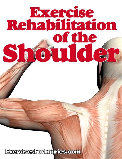 Exercise Rehabilitation Of The Shoulder Exercises For Injuries