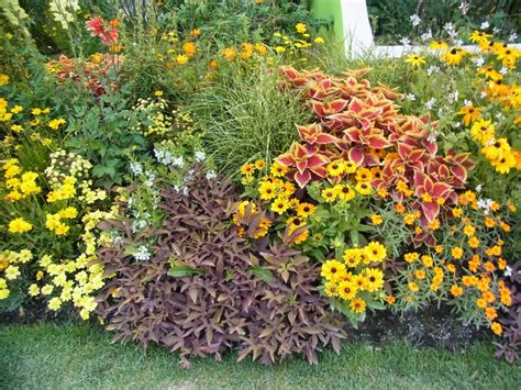 234 likes · 3 talking about this. Selbstversorger-Garten: Besuch auf der Landesgartenschau ...