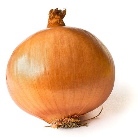 Large Spanish Onions Petes Fruit And Veg