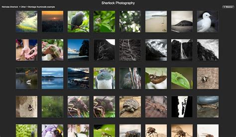 Clever Customization Turns Thumbnail Galleries Into Beautiful Image Montages