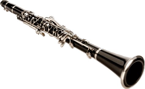 The Top 10 Musical Instruments Suitable For Beginners