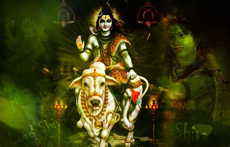 Download hd wallpapers for free on unsplash. जानिए क्यों भगवान शिव पहनते है उनकी पसंदीदा बाघ की खाल ...