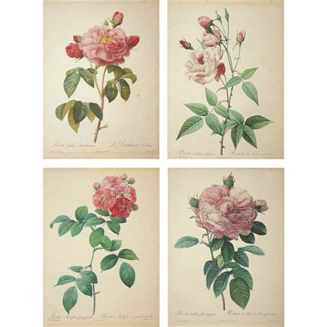 Framing Home And Hobby Botanical Print Pink Roses Vintage Roses Vintage