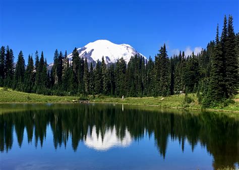 The Beauty and Power of Mount Rainier | Mary E. Trimble
