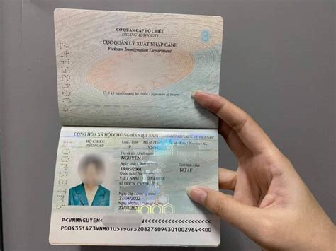 Vietnam Passport Photo Size Everything You Need To Know