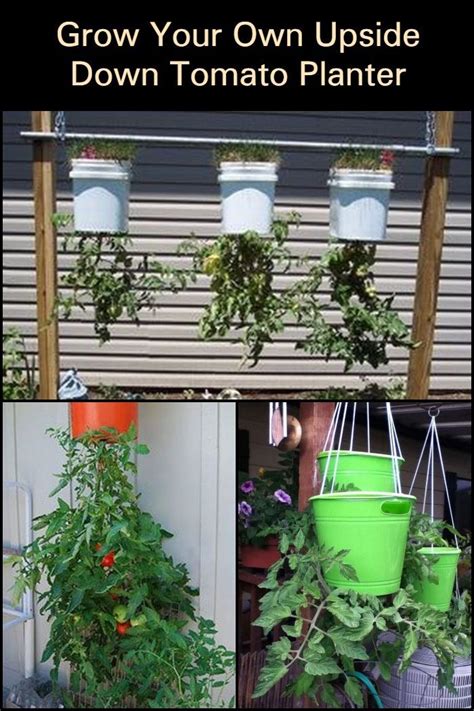 This Space Saving Technique Will Benefit Those With Limited Garden