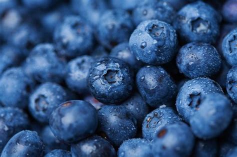 How To Pick A Blueberry Variety For Your Edible Landscape Edible