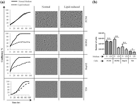 A Proliferation Curves For Pc M Hop Hepg And T Cells Cells