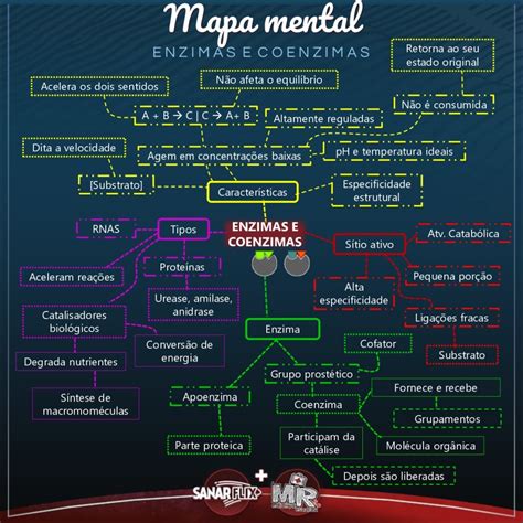 Mapas Mentais Sobre ENZIMAS Study Maps