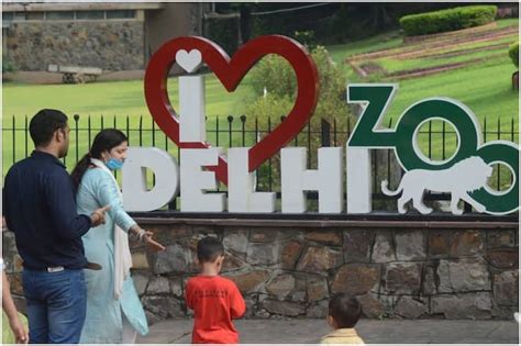 Delhi Zoo Welcomes Back Tourists After 2 Months 4000 Tickets Sold