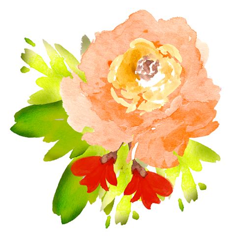 Watercolor Flowers Transparent At Getdrawings Free Download