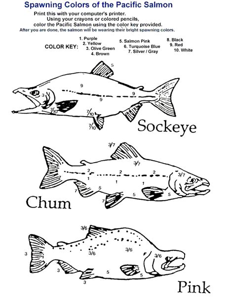 Free Alaska Coloring Pages - Coloring Home
