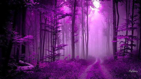 Path In Purple Forest Firefox Theme Forest Woods Trees Fantasy
