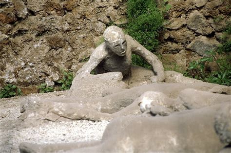 Body Cast Of Victim Of Pompeii Eruption Stock Image C016 7784 Science Photo Library