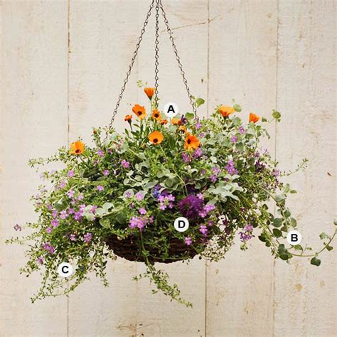 Create Stunning Hanging Baskets Garden Ideas And Outdoor Decor