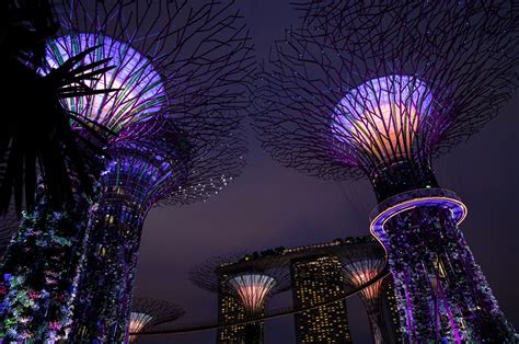 Image Singapore Gardens By The Bay Nature Parks Night Street Lights