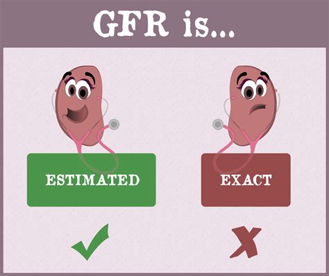 Glomerular Filtration Rate Gfr Gaytri Manek Formerly Gandotra Md
