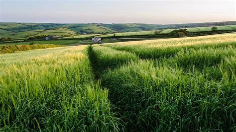 Landscape England Grass Plains Wallpapers Hd Desktop