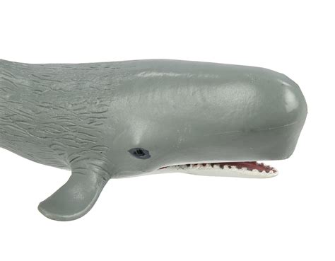 Safari Ltd Safari Sea Life Sperm Whale Realistic Hand Painted Toy