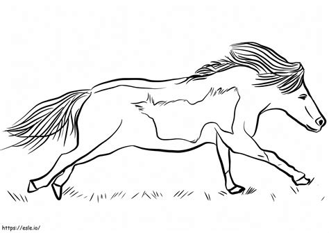 Miniature Horse Running Coloring Page