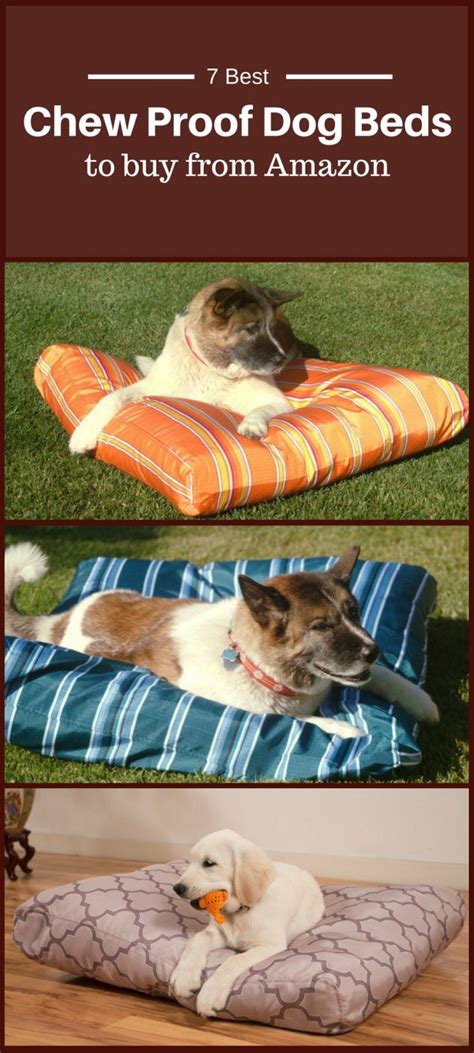 Diy canopy dog beds top indestructible chew proof dog beds. Pin on Dog Bed
