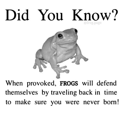 Pin By Skorpione 8 On Phrög Sometimes Töade In 2021 Funny Frogs Frog Meme Frog Pictures